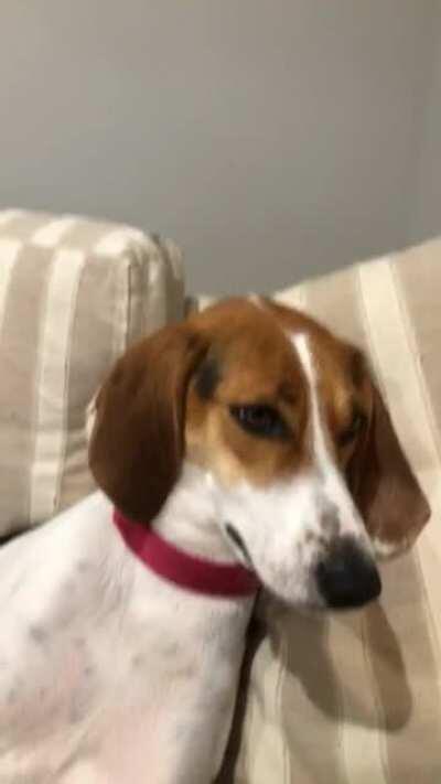 Stella knows what she wants