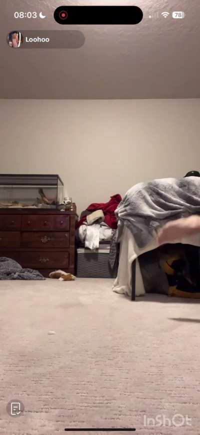 Shy girl doesn’t wanted to show her feet but the chat made her do it! Full soles at the end