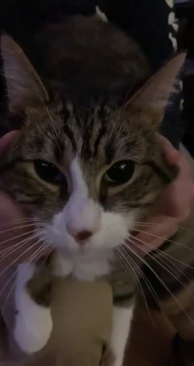 My boy Spruce Jenner is a Dull Boy.