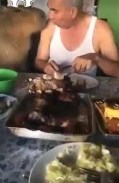 Rescato el video del carpincho comiendo asado para los que estan repodridos de solo ver posts de la Kirchner en el sub hoy.