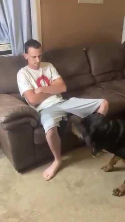 Rottweiler is not happy with dad clipping his nails. (Not OC)