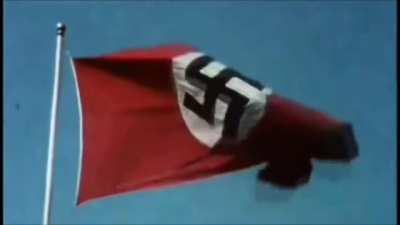 Everyone I Don't Like is LITERALLY HITLER (Highlighted)