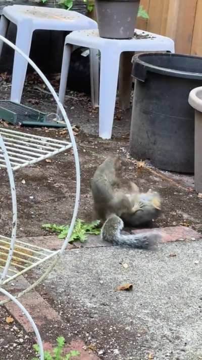 It’s that time of year