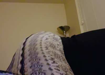 i wanna throw ass on some dick 💖