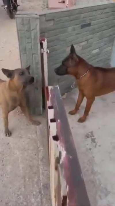 Kanye and Drake next time they meet