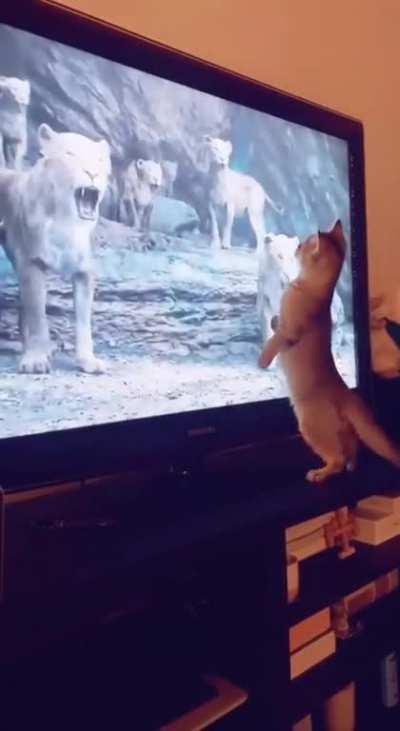 Full movie immersion 😲👉