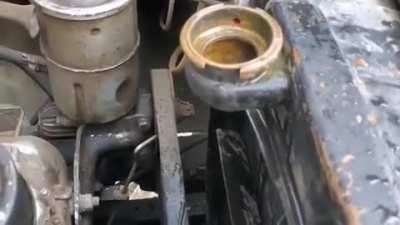 A small visitor + getting him out.