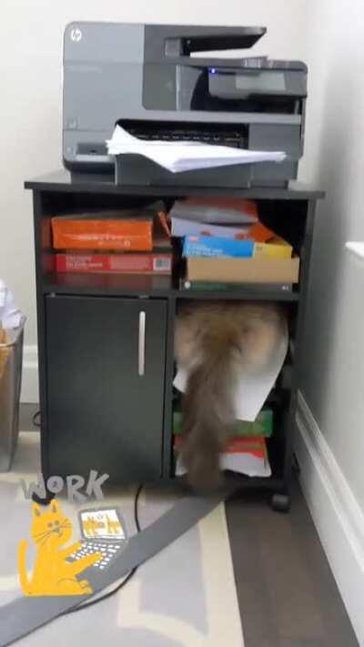 My assistant filing himself away