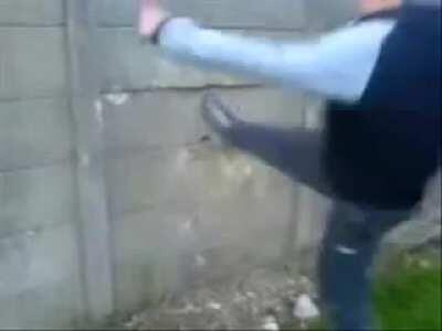 WCGW trying to break a concrete wall segment?