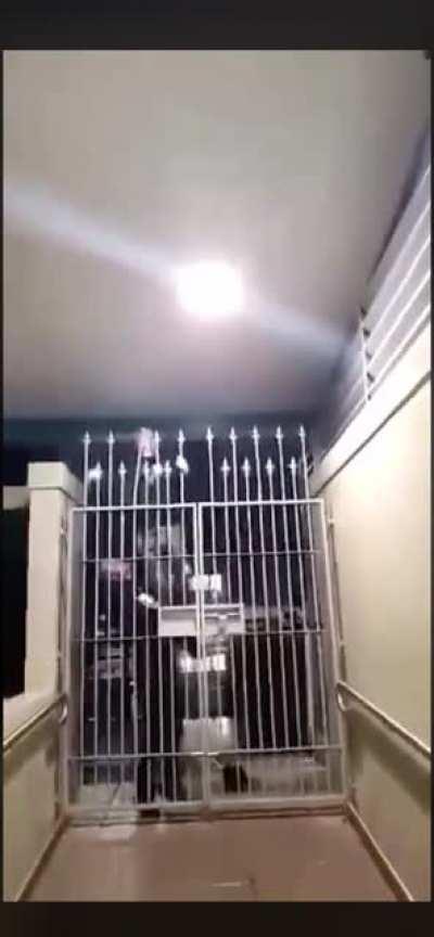 D or V after trying to climb this gate?