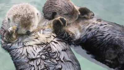 ¿Porque tienes que ser haci naturaleza? :(