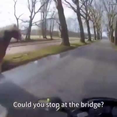 This awesome guy uses his motorcycle to help a woman get her horse back. She is so happy for the help.