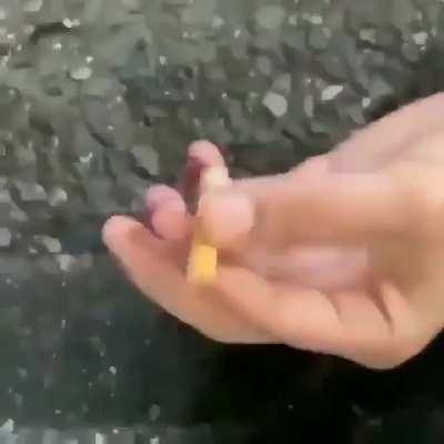 The Flexibility Is Astounding