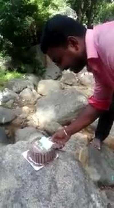 Descobriram oq o woods anda fazendo enquanto n faz live