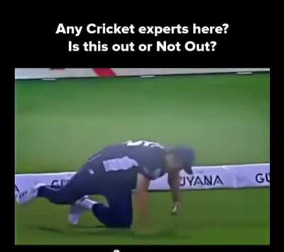 Any Cricket experts here ??