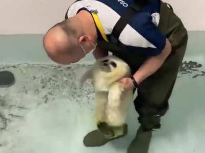 Floofs get put in the friend tub.