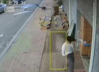 Woman gets brutally mauled by a dog