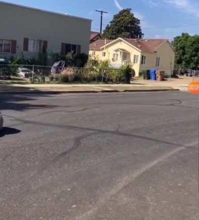 Not a car or an idiot, but you'll enjoy watching this mf crash you filthy animal.