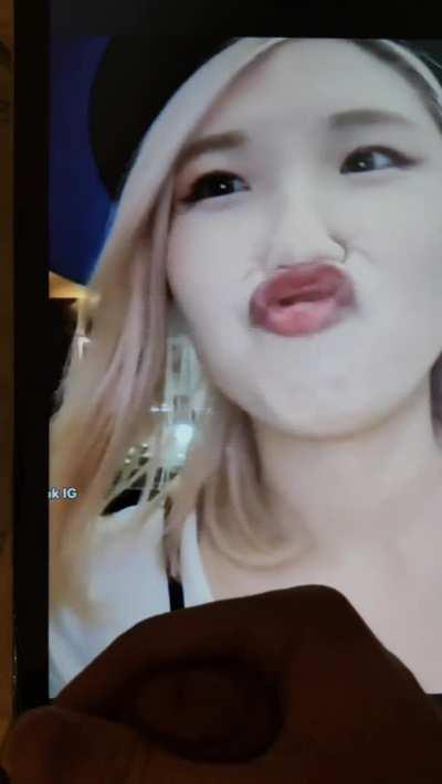 HAchubby special birthday tribute!!