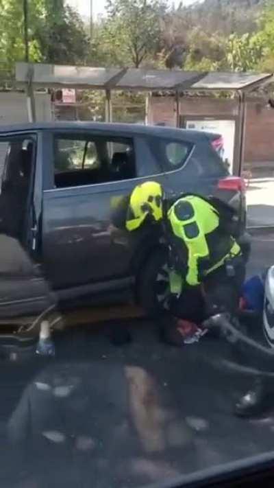 Videos que te alegran el dia