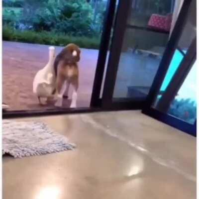 Being a shoulder to lean on. #BFF ❤️