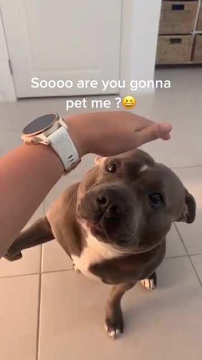 Don’t do him like that