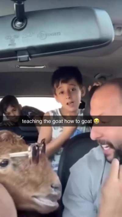 Teaching the goat how to goat (heil spez)
