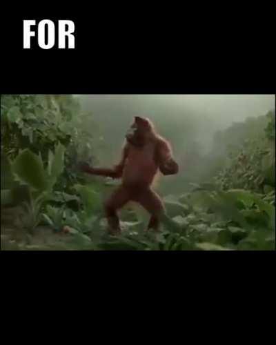 Monke Chao - Bongo Bong