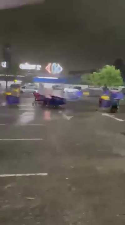 El ataque de los changuitos asesinos.