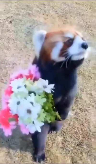 Going on his first date...lol