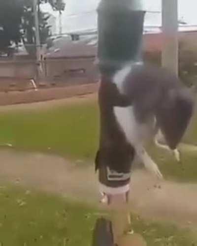 Coitado do ratoKKKKKKKKKKKKKKKKK