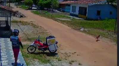 Cenas de horror!! motoboy tem sua entrega furtada e o meliante é flagrado por câmeras locais.