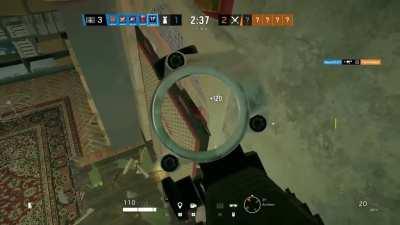 Small beak in Border ; )