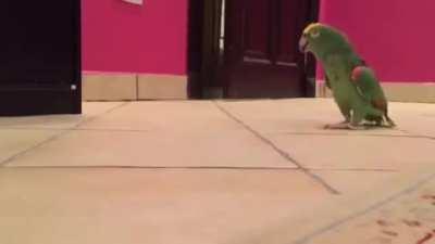 When you discover something they were hiding