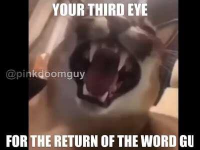 new rapper just dropped