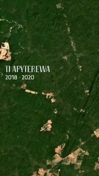 The evolution of mining in indigenous lands in the rain forest of Brazil.