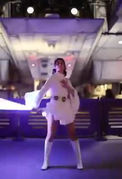 Somebody Really Likes May the 4th.