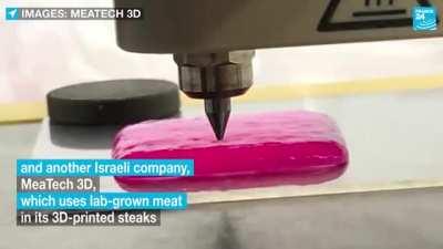 3D Printing meat. I'd like to taste it