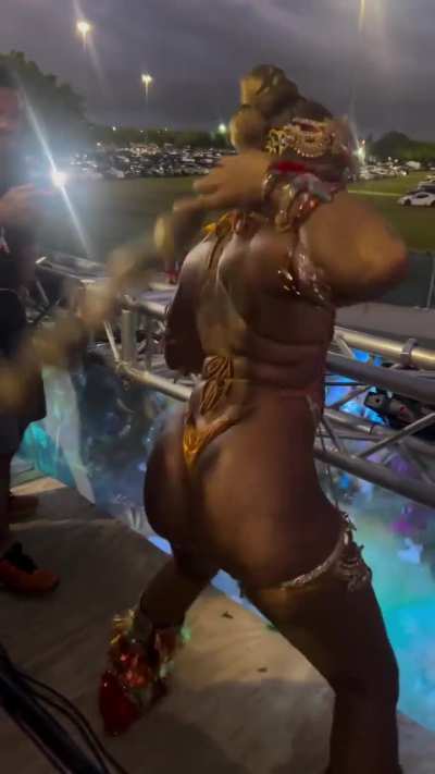 Miami carnival @michbo80