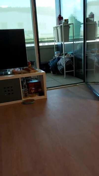 a fight has broken out