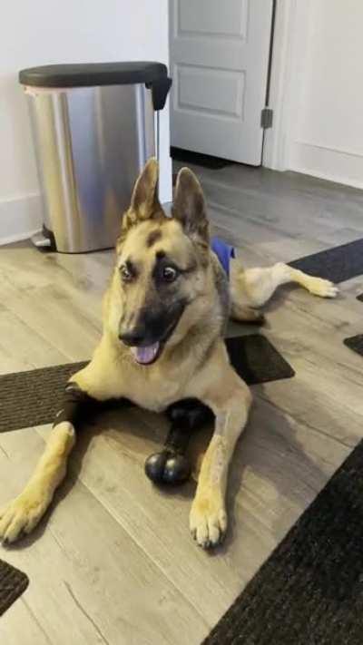 My baby will be 13 yo next month. I am so grateful for having her in my life. She is my best friend, my daughter and my love.