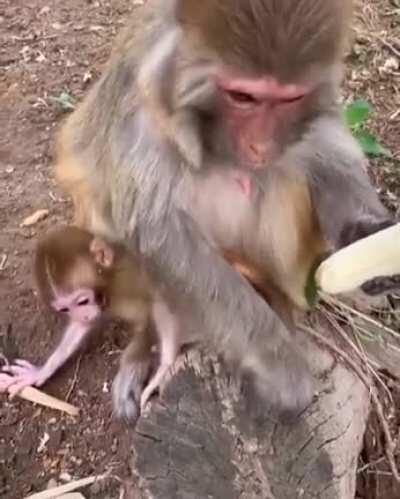 She's very particular about how she likes her bananas