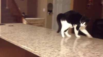 Check out the.. er.. swag?