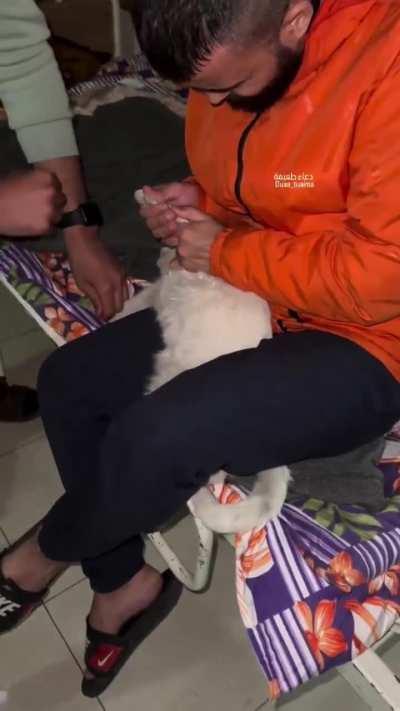 I remember the hadith of the woman that entered hell for torturing a cat to death. May Allah grant them the highest rank of Jannah 🤲