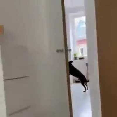 When you leave him alone in the kitchen..