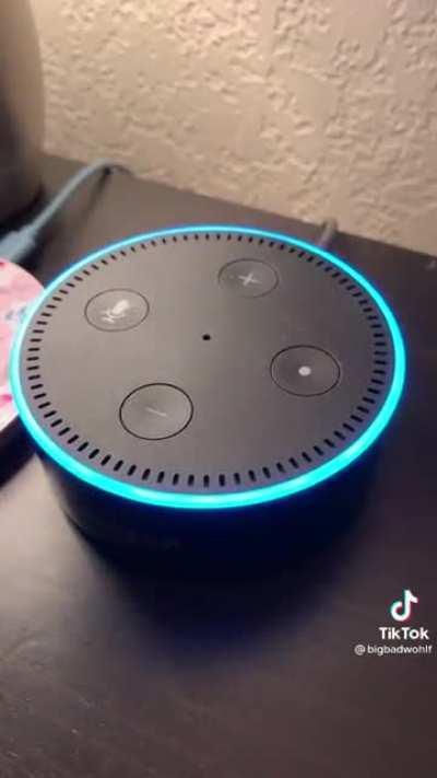 Hey Alexa