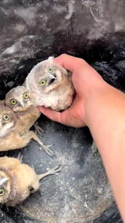 Oh no is it my turn next?