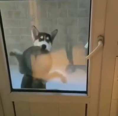 Жрать захочешь и не так раскорячишься...