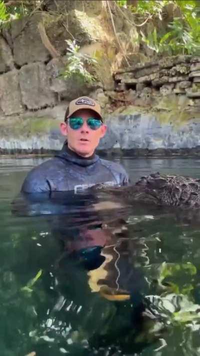 🔥 Why an alligator will kill you