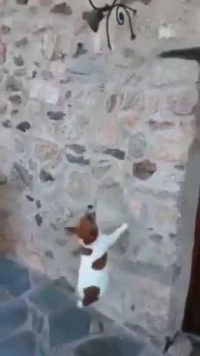 I know you’re in there.